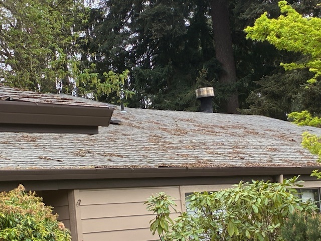 Curling and cracked asphalt shingles on an aging roof in Austin, Texas