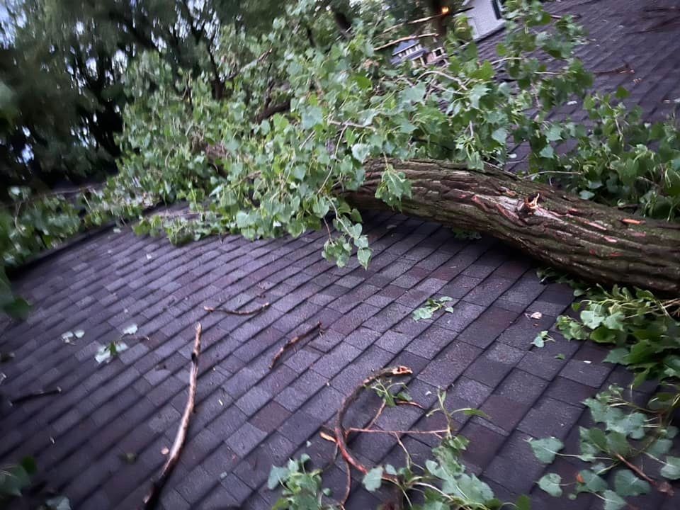 Fallen tree limb resting on a damaged roof after an Austin thunderstorm